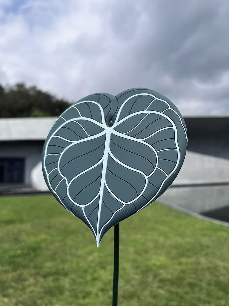 【植物杯墊】圓葉花燭杯墊 觀葉植物 軟膠仿真材質