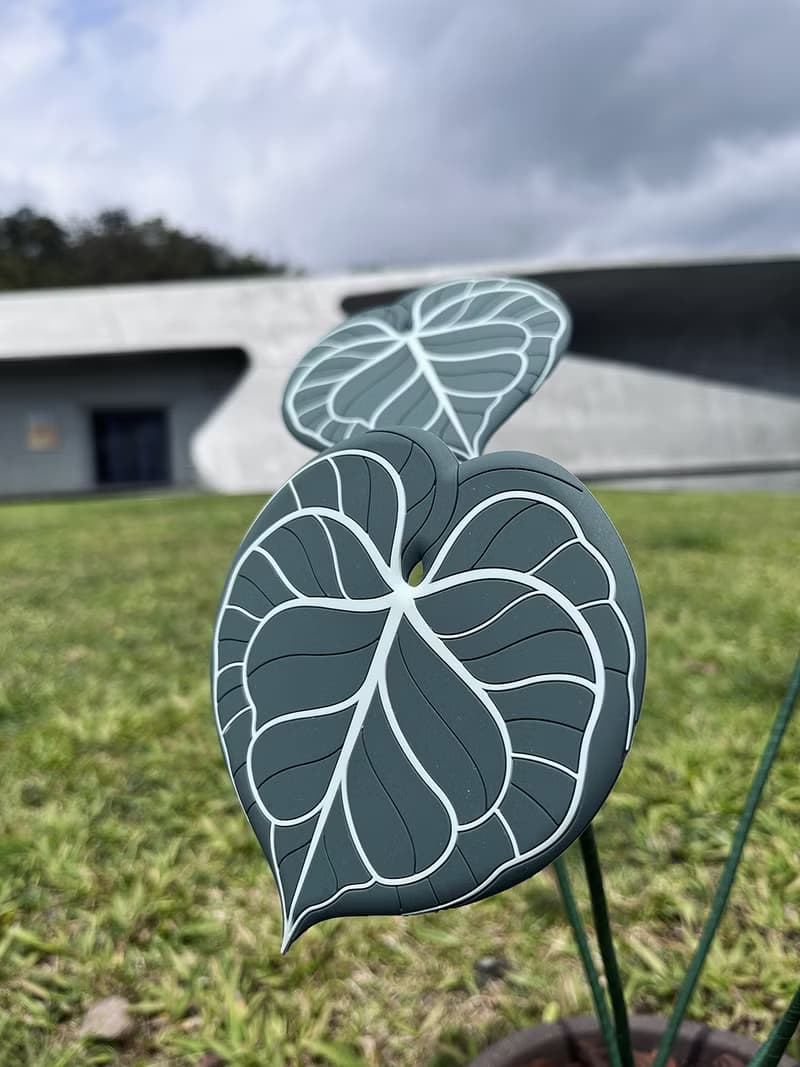 【植物杯墊】圓葉花燭杯墊 觀葉植物 軟膠仿真材質