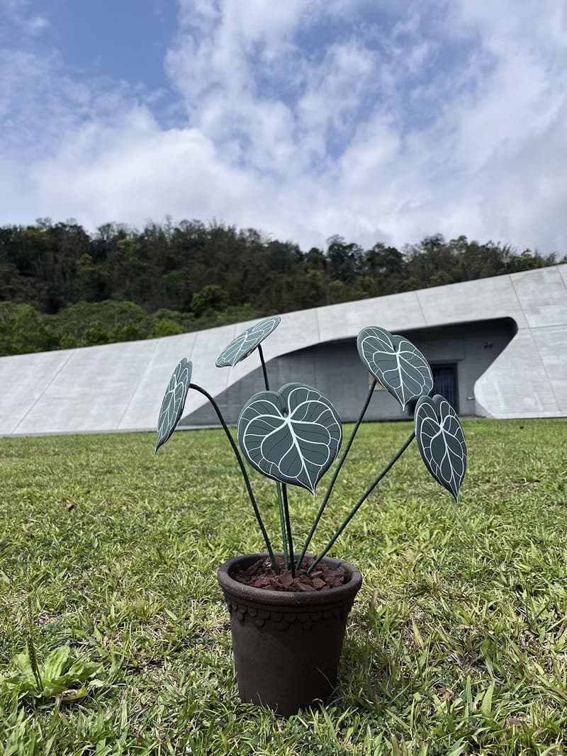 【植物杯墊】圓葉花燭杯墊 觀葉植物 軟膠仿真材質
