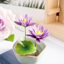 冷瓷土/黏土花藝-睡蓮小盆栽/送禮