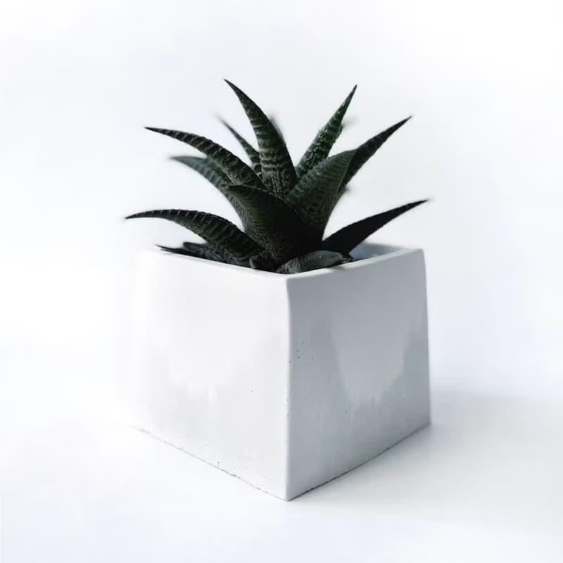 (預購) 白灰漸層系列 | 雄姿城 方形漸層水泥多肉植栽