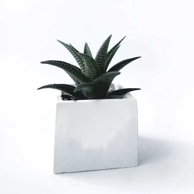 (預購) 白灰漸層系列 | 雄姿城 方形漸層水泥多肉植栽