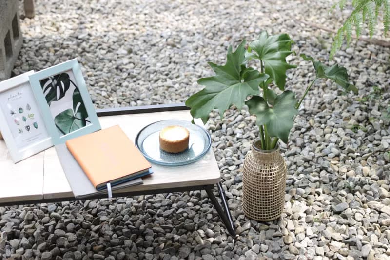 水培植栽│小天使蔓綠絨_室內植物 藤編玻璃花器