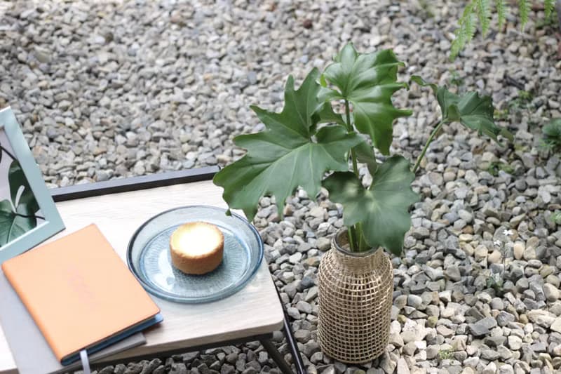 水培植栽│小天使蔓綠絨_室內植物 藤編玻璃花器