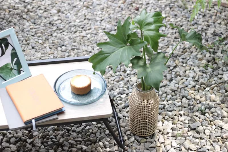 水培植栽│小天使蔓綠絨_室內植物 藤編玻璃花器