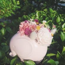 粉色大象進貨了/象*徵幸福/擴香不凋花/小盆花系列