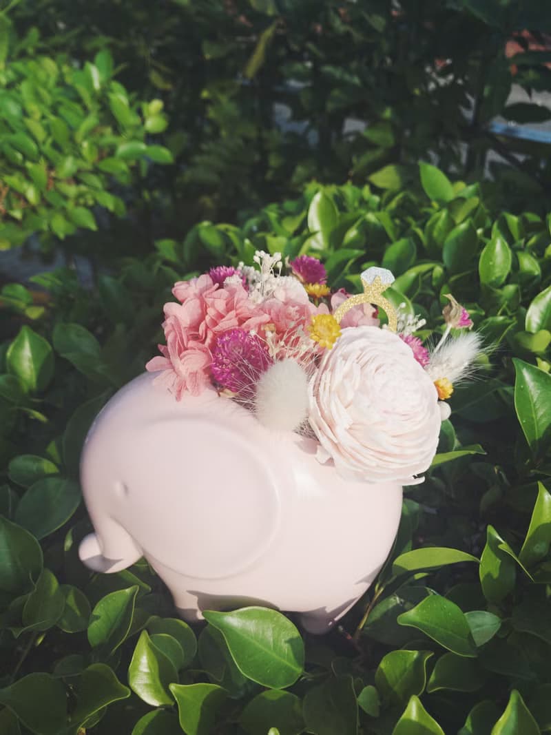 粉色大象進貨了/象*徵幸福/擴香不凋花/小盆花系列