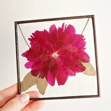 植物裝飾 真粉芍藥 玻璃框