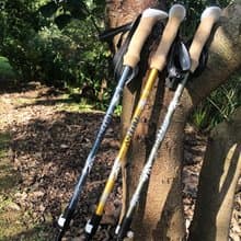 避震極輕三節伸縮外鎖鋁合金雙曜登山杖(三色可選) 交換禮物