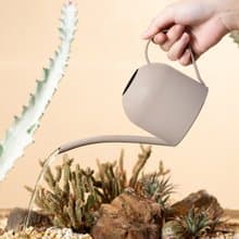 燕麥拿鐵澆水壺 / 澆水器