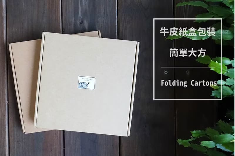 Surfing Otters 衝浪水獺 餐瓷盤 (骨瓷平盤)