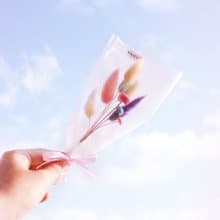 (彩)幸福棉花糖花束-小   乾燥花 情人節 婚禮小物 送禮  生日禮