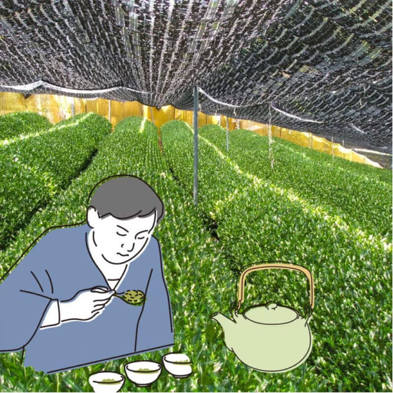 問候茶包_等待良緣茶-京都玉露円緣茶1包入