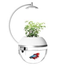 香草與魚Herb&Fish X