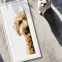 裝飾畫-附畫框 | 入厝禮| 掛畫| 民宿佈置|  室內設計| 海報