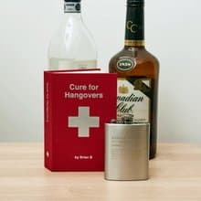 美國 kikkerland 宿醉酒壺 隨身戶外便攜不鏽鋼酒壺 露營復古酒壺