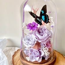 Papilio epiphorbas 鳳蝶∣永生花玻璃盅∣開幕∣情人節∣母親節