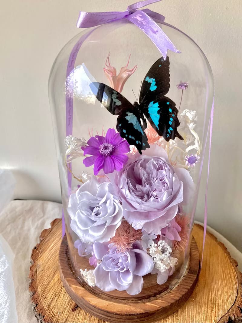 Papilio epiphorbas 鳳蝶∣永生花玻璃盅∣開幕∣情人節∣母親節