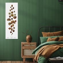 植直大身高量表-殼斗科系列/身高尺/成長尺/成長紀念