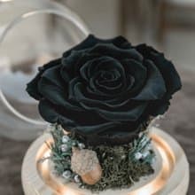 黑玫瑰/花夜燈/永生花玻璃盅/生日禮物/畢業禮物/永生花禮/不凋花