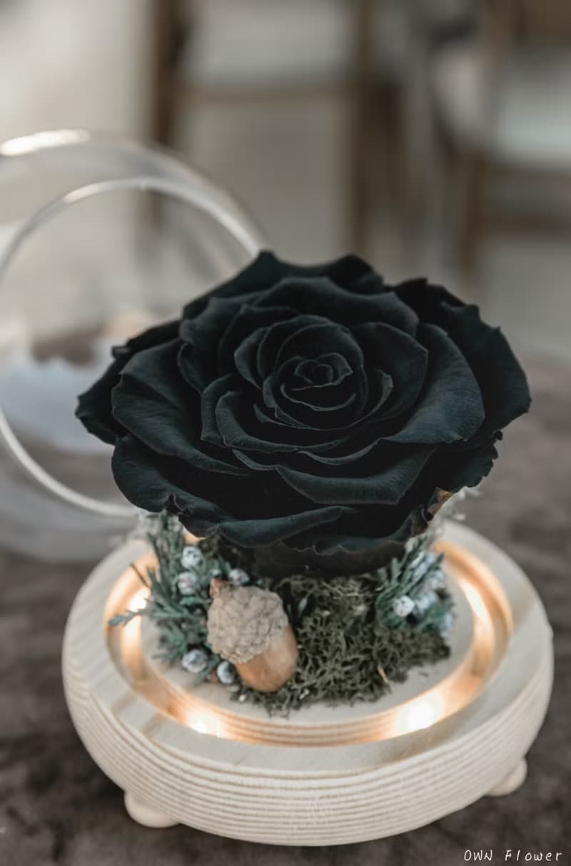 黑玫瑰/花夜燈/永生花玻璃盅/生日禮物/畢業禮物/永生花禮/不凋花