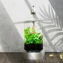 【免運】積木印象活水草生態紓壓魚缸生態瓶【青青草原】