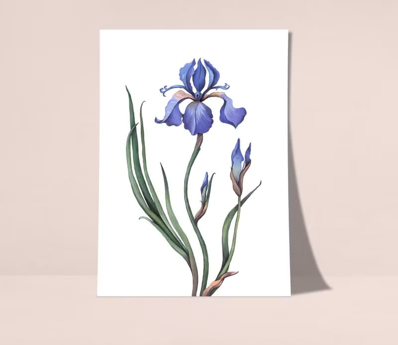 【數位】鳶尾花海報數位 JPEG 可列印牆面畫廊牆面藝術鳶尾花印刷品