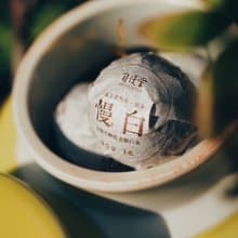 自慢堂 福藏茶 茶倉+茶葉組 白茶/生普