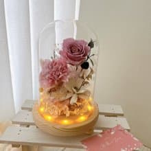 Miss。花謎 微光之境 康乃馨玻璃罩 玻璃盅