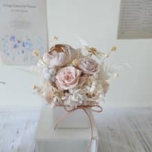 【奶茶色永生花盆花】新居賀禮/開幕賀禮/送禮/居家裝飾