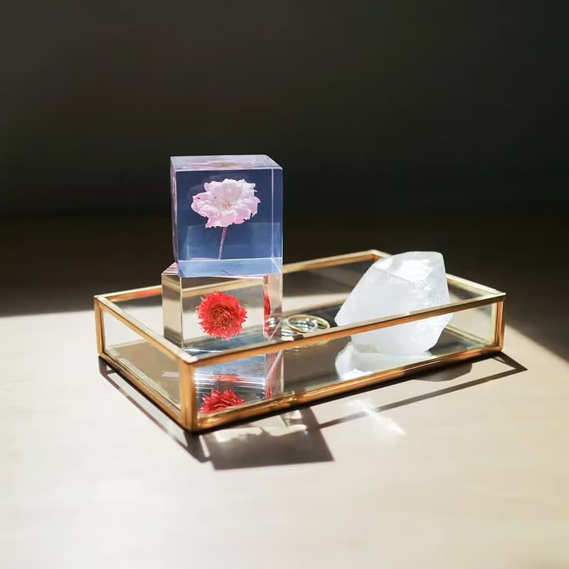Sola cube 八重紅枝垂櫻花立方塊_智慧、優雅