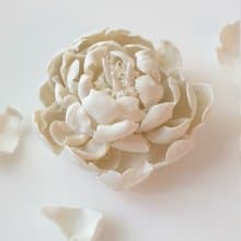 瓷花  皮恩