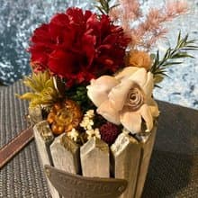 索拉花桌花/開幕花禮/開幕盆花/開店禮/索拉花禮/開店擺設/送禮