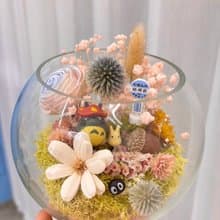 獨家推出 龍貓造景永生景觀瓶 玻璃大圓瓶