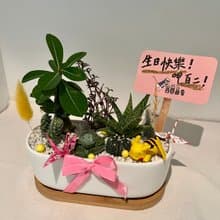 皮卡丘 寶可夢 開幕送禮 多肉組盆 多肉植物 創意盆栽 盆栽送禮