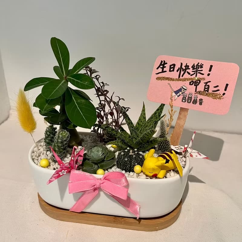 皮卡丘 寶可夢 開幕送禮 多肉組盆 多肉植物 創意盆栽 盆栽送禮