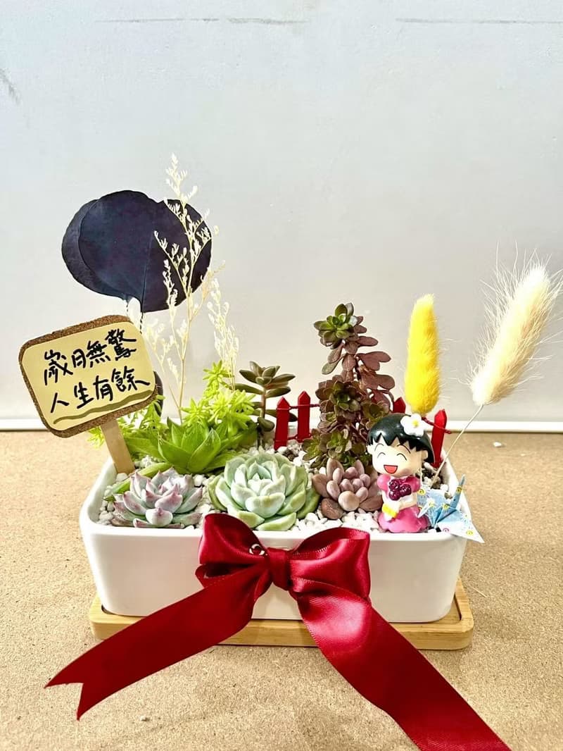 櫻桃小丸子ちびまる子ちゃん 日式 多肉組盆 多肉植物 洋裝小丸子