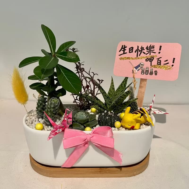 皮卡丘 寶可夢 開幕送禮 多肉組盆 多肉植物 創意盆栽 盆栽送禮