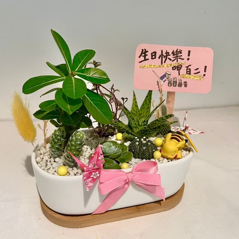 皮卡丘 寶可夢 開幕送禮 多肉組盆 多肉植物 創意盆栽 盆栽送禮