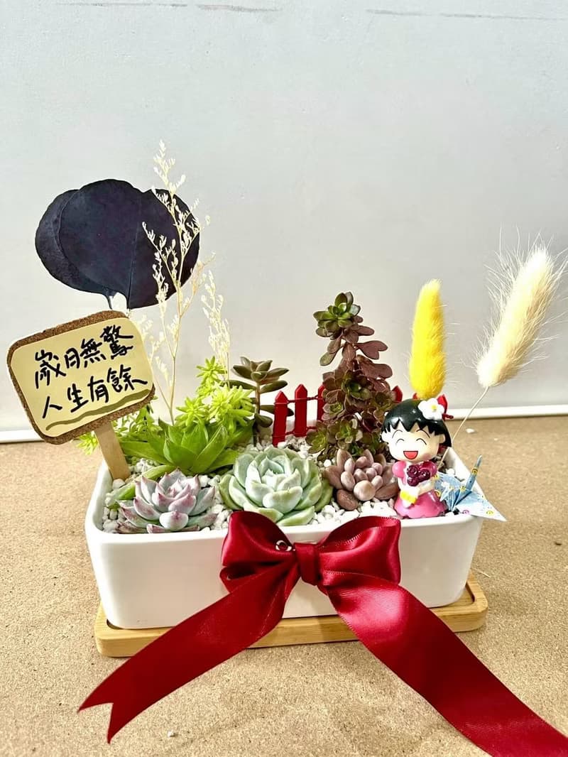 櫻桃小丸子ちびまる子ちゃん 日式 多肉組盆 多肉植物 洋裝小丸子