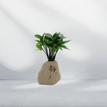 竹柏植栽 陶藝關公 奇木 風化黃連木