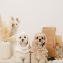 【 MONCHERI 】寵物服飾 | 連帽毛毛圍巾斗篷