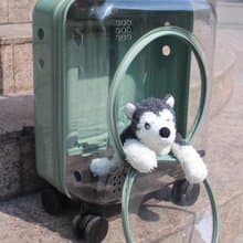 【CROWN】日本同步販售 透明寵物外出箱