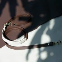 Skin Soft Genuine Leather Pet Leash | Leather Dog Leash, Cat Leash