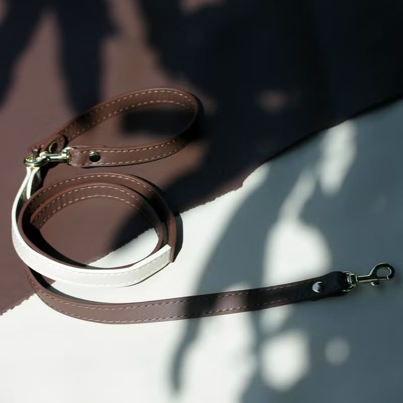 Skin Soft Genuine Leather Pet Leash | Leather Dog Leash, Cat Leash