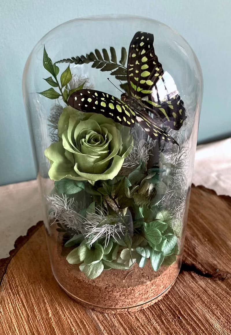 蝴蝶標本玻璃盅-綠色鳳凰/情人節/乾燥花/生態瓶/粉蝶/七夕情人節