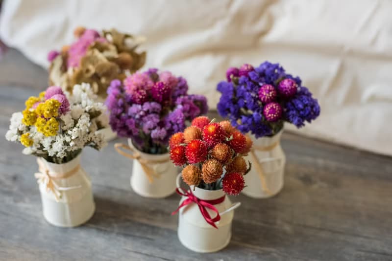 Fleurir朵朵時光.乾燥花莓果小花園.乾燥花禮婚禮小物.畢業禮物