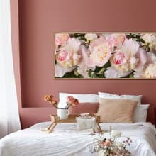 嬌嫩牡丹II - 高貴牡丹花臥室床頭畫/客廳裝飾畫/辦公室掛畫