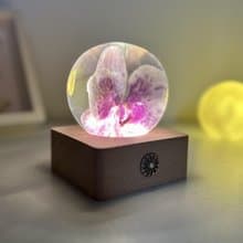 粉蝴蝶蘭|幸福向你飛來