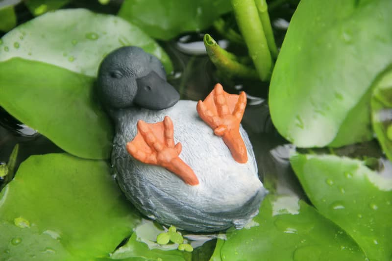 不倒鴨 (灰色)